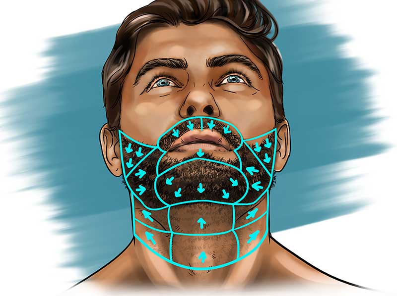 Illustration der Bartwuchsrichtung für die Rasieranleitung
